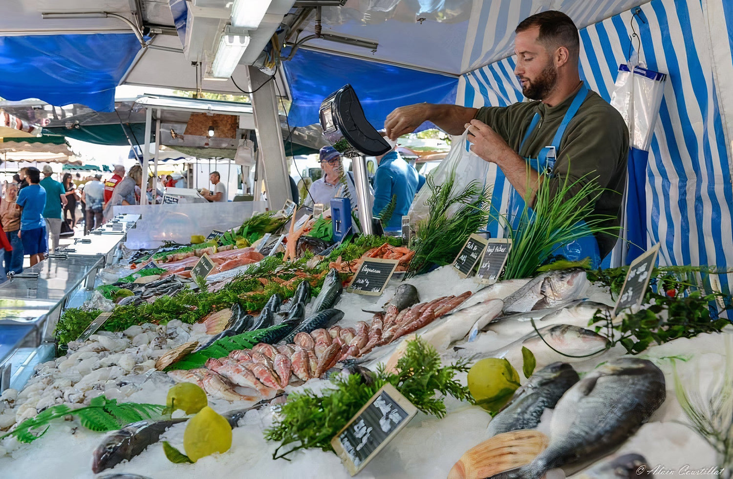Poissonnerie de la côte